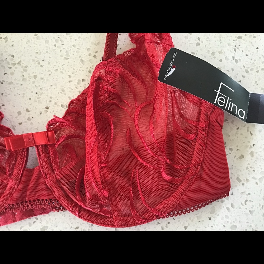 Sexy red lace bra ( will be like a nude colour bra under a white T! )